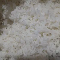 برنج ایرانی خوشپخت درجه ۱ تک وعمده|خوردنی و آشامیدنی|تهران, تهرانسر شرقی|دیوار