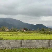 295زمین-مجوز-ساخت-ویو-دار-در-مسیر-جاده-قلعه-رودخان