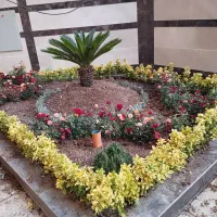 خدمات باغبانی باغچه کاری گل کاری تعویض خاک گلدون