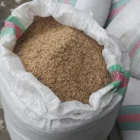 شالی فجر و ندا