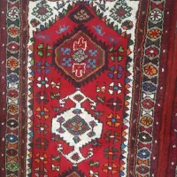 یک جفت زرع نیم زنجان