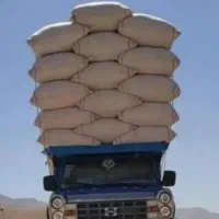 خریدار کاه گندم و کاه جو