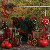 باغ عکاسی ثریا/ دکور یلدا/کودک/بارداری/لباس رایگان