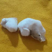 استخاره قرآن.|خدمات پذیرایی، مراسم|بم, |دیوار