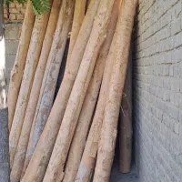 خرید چوب خشک سقفی وانواع چوب درباغات|خدمات پیشه و مهارت|ارومیه, |دیوار