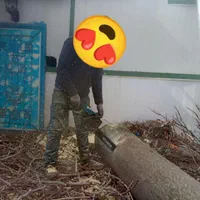 خریددرخت خریدچوب برش چوب خریدچوب کهنه وهرس|خدمات باغبانی و درختکاری|تبریز, |دیوار