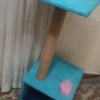 اسکرچر گربه نو