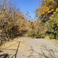 زمین دور دیوار 920متری / باغرود|فروش خانه و ویلا|نیشابور, فضل|دیوار