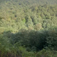 اجاره شبانه