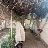 55 متر ، دو نبش ، قابل تجمیع ، قابل سکونت