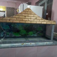 آکواریوم.وتجهیزات
