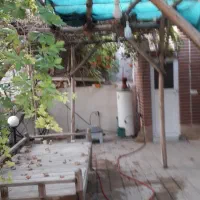 فروش خانه باغ فین بزرگ پشت شاهزاده قاسم|فروش خانه و ویلا|کاشان, حسن آباد|دیوار