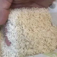 برنج طارم اصل
