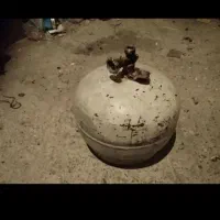 ۲عددپیک نیک سالم