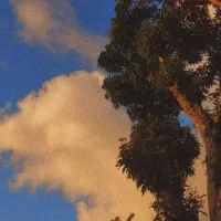 مسکن مهر معاوضه باویلایی