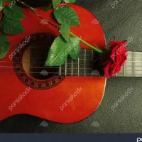 آموزش گیتاردر منزل با 12سال سابقه