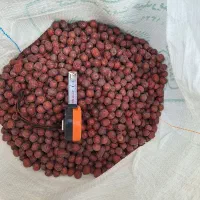 عناب سایز ۱۴ تا ۱۷