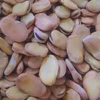 باقله خشک|خوردنی و آشامیدنی|شوشتر, |دیوار