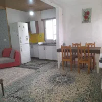 سویت  روزانه