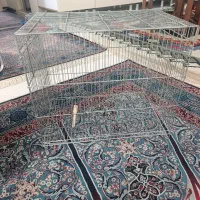 قفس سهره