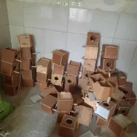 تعدادی لانه فنج چوبی