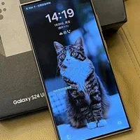 (S24) مشابه اصلی ، درجه یک