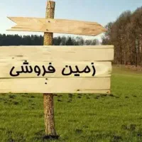 زمین-بلبلی