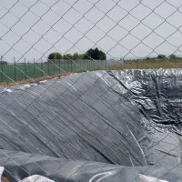 فنس بافی رامه ای|عمده‌فروشی|گرمسار, |دیوار