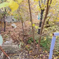 فروش منزل ویلایی|فروش خانه و ویلا|درگز, |دیوار