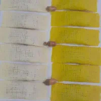 رشته خشکارخانگی