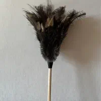 گردگیر پر شترمرغ عمده و تک|لوازم نظافت|تهران, نیروی هوایی (پیروزی)|دیوار