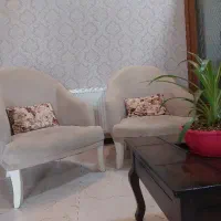 دو عدد مبل تک نفره