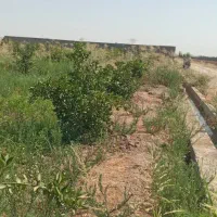 فروش-باغچه-بنوارشامی