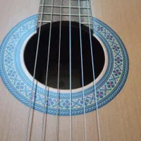 گیتار پارسی m5