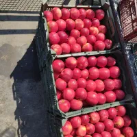 7000مترباغ معاوضه باملک درتبریز