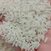 برنج طارم محلی فریدونکنار|خوردنی و آشامیدنی|فریدون‌کنار, |دیوار