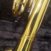 ترومپت|سازهای بادی|اصفهان, چرخاب|دیوار