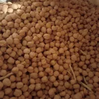 با سلام نخود فلافل تمیز موجود هست کیلوی ۱۷۰ هزار