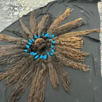 (موی )بلند خرم