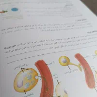 کتاب کنکور ۱۴۰۵ حنیف عظیمی تاملند جزوه نصف قیمت|کتاب و مجله آموزشی|تهران, فلسطین (میدان انقلاب)|دیوار
