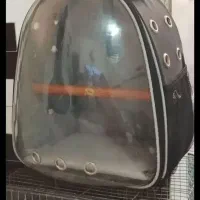 کوله پشتی پرنده سگ