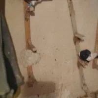 چهارتا شهری ویالی سیاه|پرنده|مرودشت, رودبال|دیوار