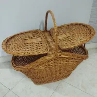 سبدحصیری پیک نیک،یا سگ خانگی