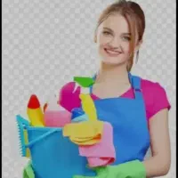 خدمات نظافت منزل  / گردگیری