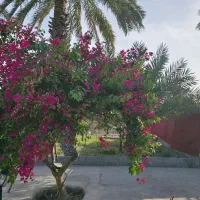 نیرو کار جهت کار در شهرداری رودان پسماند