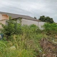 فروش زمین. داخل بافت ۲۰۰متری.|فروش زمین و ملک کلنگی|آمل, |دیوار