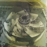 فن هوا