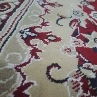 یک عدد خرگوش زرنگ