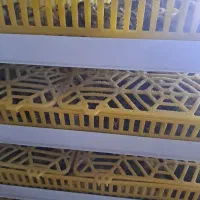 دستگاه جوجه کشی مشهد برق