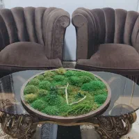 مبل مبلمان جلو مبلی
